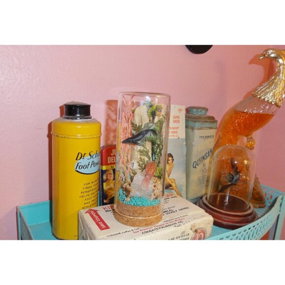 Humpback Whale & Squid Ocean Themed Oddity Jar curiosity dome crystal sea life - Picture 8 of 15